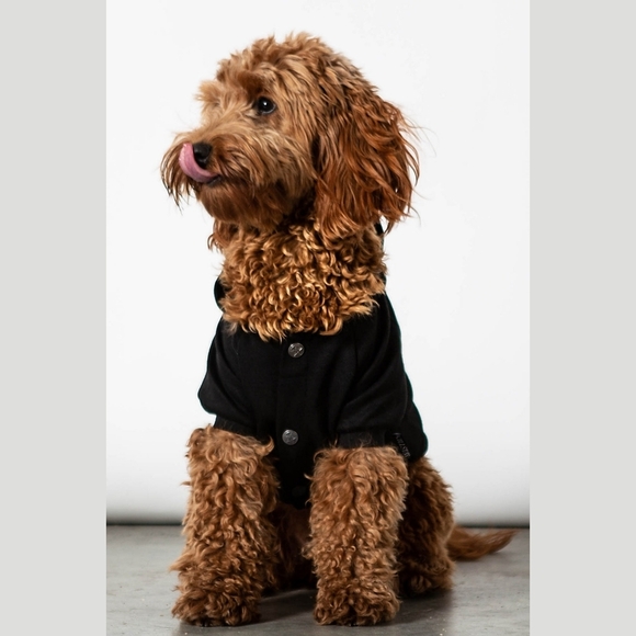 Killstar ✦ Hex Pet Hoodie ✦ L Black Jersey Cotton “I Hex Normal People” NWT - Picture 6 of 13